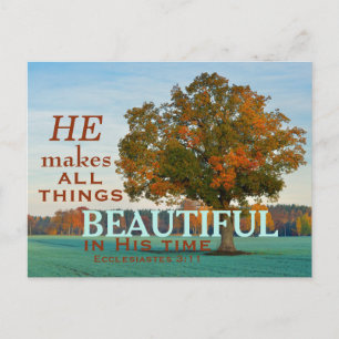Postale Ecclesiastes 3:11 Toutes choses belle Carte postal