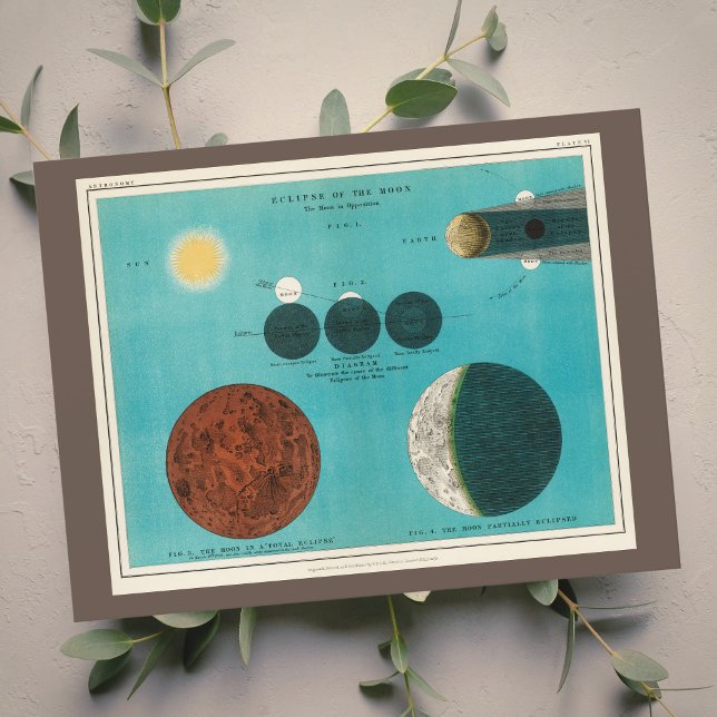 Postale Eclipse antique de la Lune Dessin, 1908 Carte post (Créateur téléchargé)