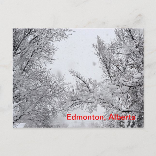 Postale Edmonton (Alberta) Carte Winter Post (Devant)