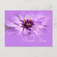 Elégante fleur marguerite violette merci carte pos