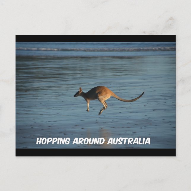 Postale Faire le tour de l'Australie Kangaroo carte postal (Devant)