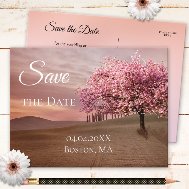 Postale Faire-part Arbre cerise en fleurs Enregistrer la date Carte p (Créateur téléchargé)