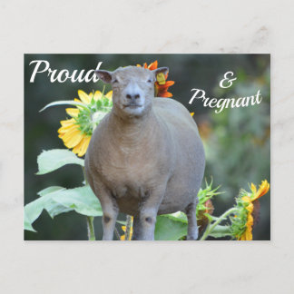 Postale Faire-part Carte d'annonce de grossesse pittoresque