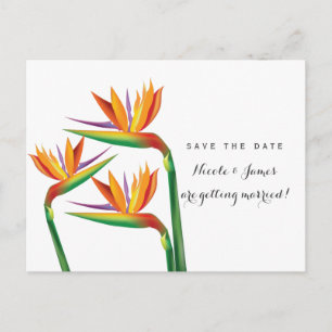 Postale Faire-part Carte de mariage Oiseau de Paradis Enregistrez la 