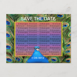 Postale Faire-part Carte de mariage paon Enregistrer la date Postcard