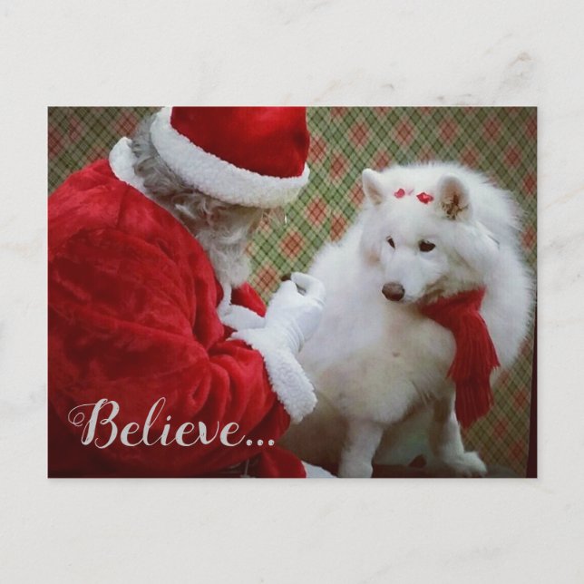 Postale Faire-part Carte de Noël de Samoyède et Père Noël (Devant)