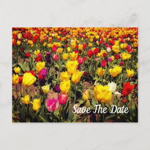 Postale Faire-part Carte de sauvegarde de date