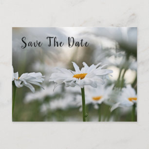 Postale Faire-part Carte de vœux d'anniversaire 'Save The Date'