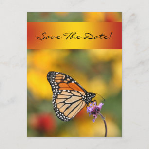 Postale Faire-part Carte Papillon Monarque
