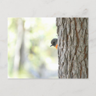 Postale Faire-part Carte Robin Peeping Bush
