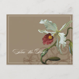 Postale Faire-part Cattleya Orchid Taupe - Enregistrer la date carte