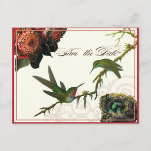 Postale Faire-part Colibris de la Protea Rouge - Carte de réservation