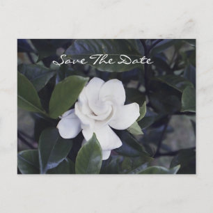 Postale Faire-part Enchanter Gardenia Enregistrer La Date Carte Posta