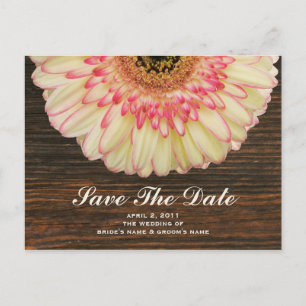 Postale Faire-part Gerbera Daisy & Barnwood Enregistrer La Date Carte