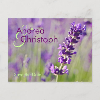 Postale Faire-part Lavande • Carte de pré-annonce de mariage