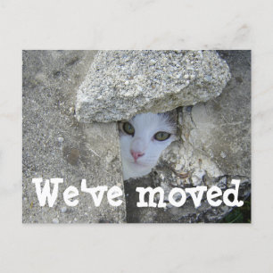 Postale Faire-part Nous avons déplacé Cute cat masquer Photo carte po