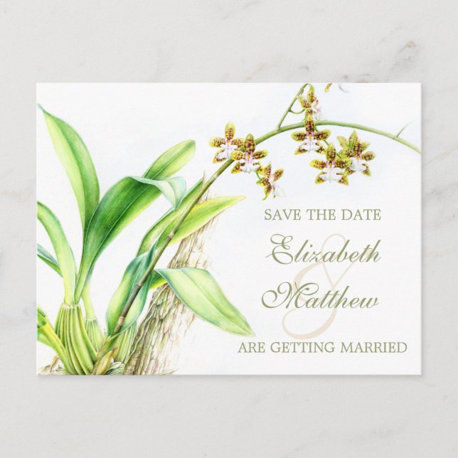 Postale Faire-part Orchidée fleur peinte enregistrer la carte de date (Devant)