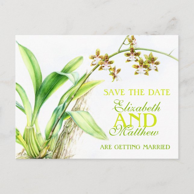 Postale Faire-part Orchidée verte fleur peinte enregistrer la carte d (Devant)