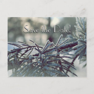 Postale Faire-part Winter Wonderland Enregistrer la date Carte postal