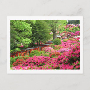 Postale Festival des Azalées : Nezu Shrine, Japon Carte po