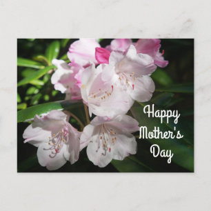 Postale Fête des mères Sakura Cherry Blossom #2 Carte post