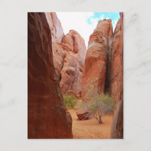 Postale Fins, Parc National Des Arches, Utah, Carte Postal