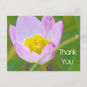 Postale fleur de tulipe merci carte blanche