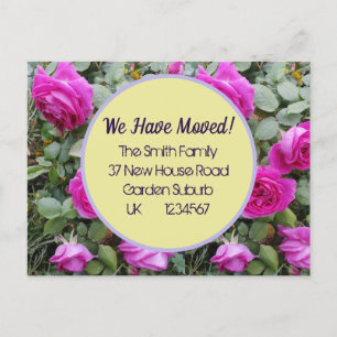 Postale Fleurs roses Nouvelle Adresse Carte Postale, Nous 