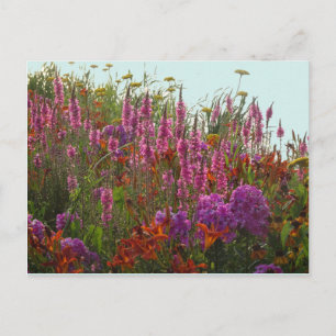 Postale Fleurs sauvages colorées do-it-yourself carte post