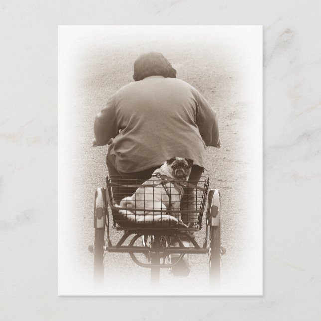 Postale Garçon Et Chien Carlin Se Rendre À Une Carte Posta (Devant)