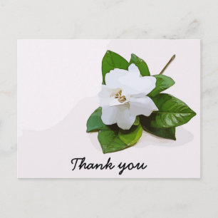 Postale Gardenia fleurs Sympathy Merci Carte à plat
