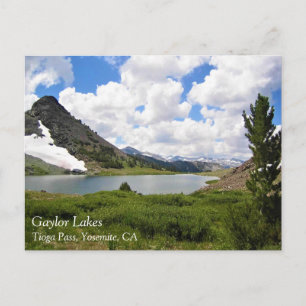 Postale Gaylor Lakes, Tioga Pass, Yosemite, CA Carte posta