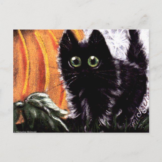 Postale Halloween Chat Noir Qui Dat Scaredy Chat Carte Pos (Devant)