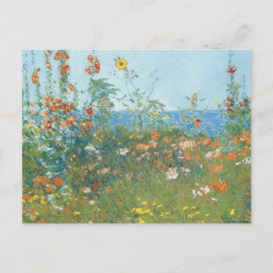 Postale Hassam's "Poppies, l'île des Shoals" - Carte posta