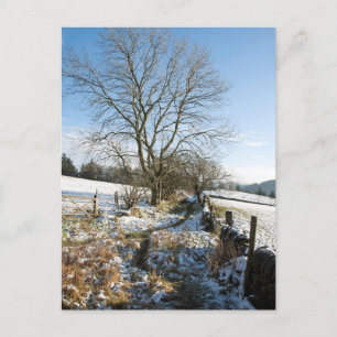 Postale Hiver Carte Forêt Macclesfield
