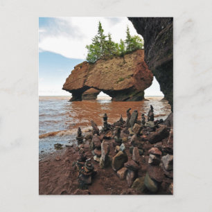 Postale Hopewell Flowerpot Rocks Nouveau-Brunswick Carte p