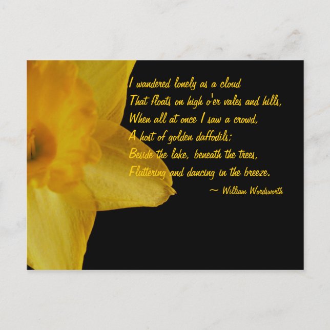 Postale Jaune Daffodique; William Wordsworth Poem Carte po (Devant)