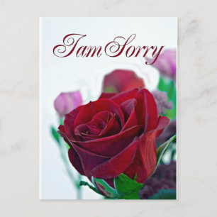Postale Je suis désolé carte avec une rose rouge classique