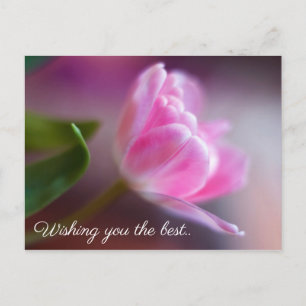 Postale Je vous souhaite la meilleure - Carte d'anniversai