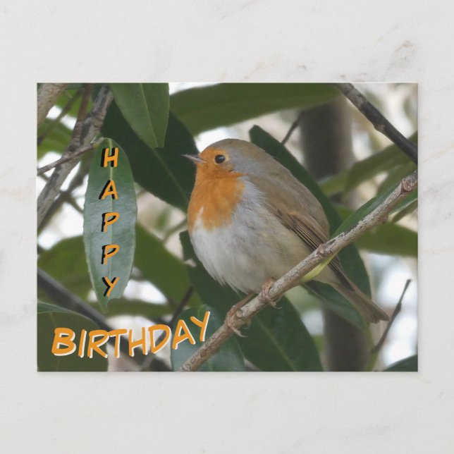 Postale Jolie carte d'anniversaire Robin et feuilles verte (Devant)