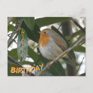 Postale Jolie carte de bonne anniversaire de Robin et feui