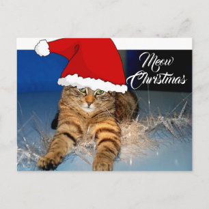 Postale Jolie carte de Noël avec chat et vœux de fêtes