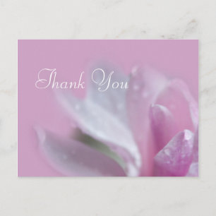 Postale jolie fleur de magnolia rose merci carte postale.