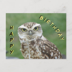 Postale Jolie petite carte d'anniversaire de hibou