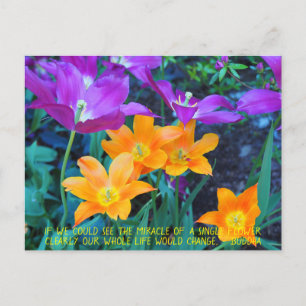 Postale Jolie Tulipes Printemps Orange Purple Carte Postal