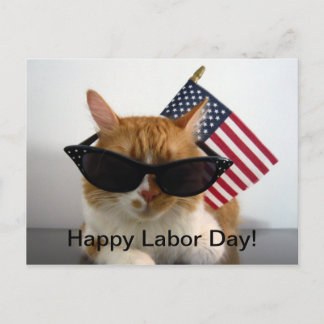 Postale Joyeux Cool de la fête du travail Chat avec carte