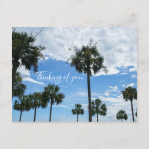Postale Juste Des Palmiers Qui Pensent À Vous Carte Postal