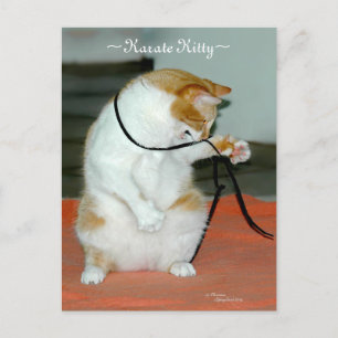 Postale Karate Kitty Chat jouer carte Postcard