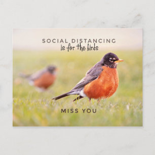 Postale La Distance Sociale Est Pour Les Oiseaux Carte Pos
