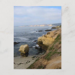 Postale La Jolla Beach Seabirds Custom California Carte po
